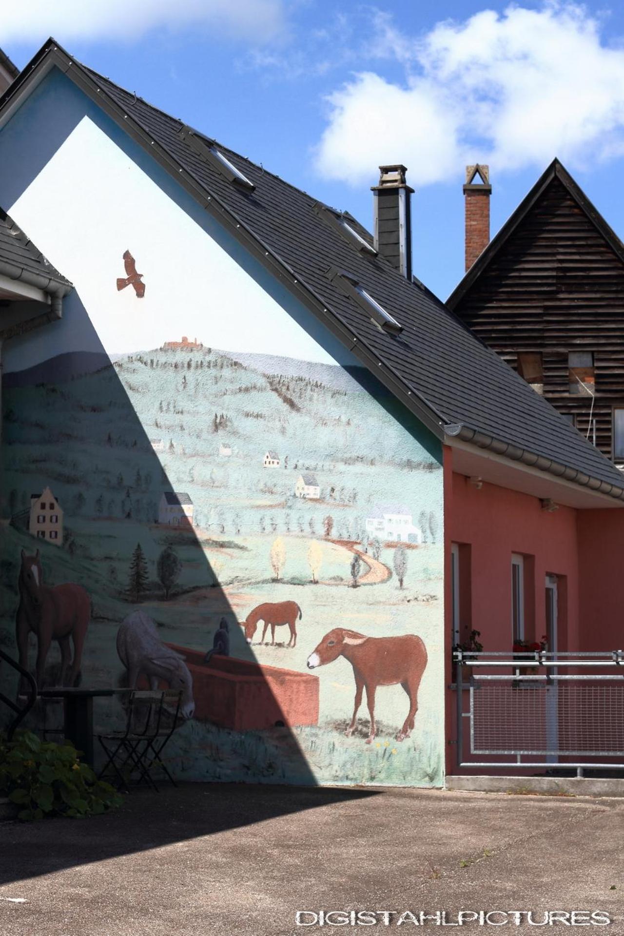 Gite A La Montagne Labaroche Exteriör bild